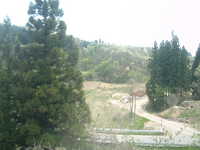  dscf0366.jpg 