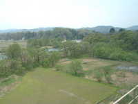  dscf0370.jpg 