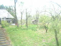  dscf0371.jpg 