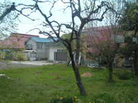  dscf0373.jpg 