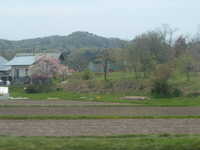  dscf0380.jpg 