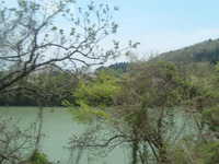  dscf0382.jpg 