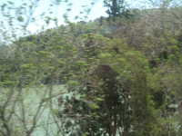  dscf0383.jpg 
