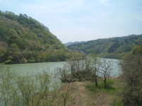  dscf0385.jpg 
