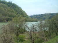  dscf0386.jpg 