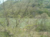  dscf0387.jpg 
