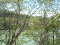  dscf0388.jpg 