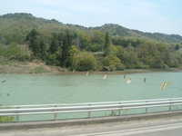  dscf0391.jpg 