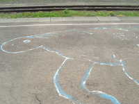  dscf0397.jpg 