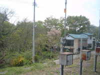  dscf0401.jpg 