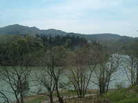  dscf0403.jpg 