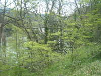  dscf0404.jpg 