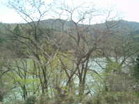  dscf0406.jpg 