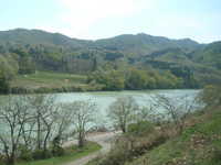  dscf0408.jpg 