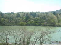  dscf0409.jpg 