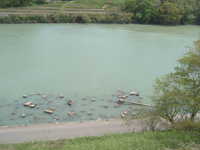  dscf0411.jpg 