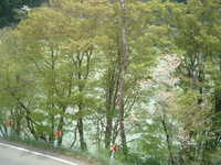  dscf0415.jpg 