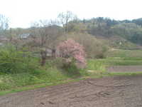  dscf0421.jpg 