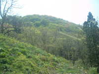 dscf0422.jpg 
