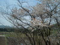  dscf0425.jpg 