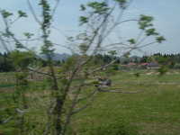  dscf0426.jpg 