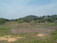  dscf0427.jpg 