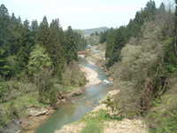  dscf0431.jpg 