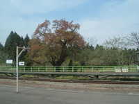  dscf0433.jpg 