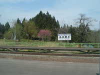  dscf0434.jpg 