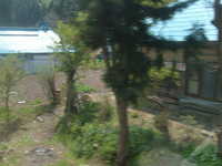  dscf0439.jpg 