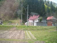  dscf0440.jpg 