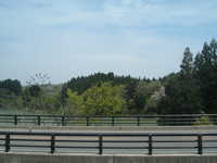  dscf0443.jpg 