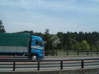  dscf0444.jpg 