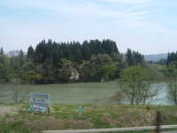  dscf0445.jpg 