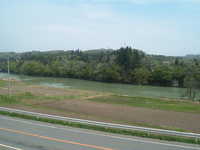  dscf0446.jpg 