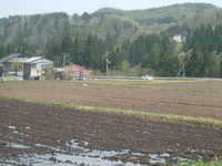  dscf0447.jpg 
