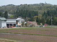  dscf0448.jpg 