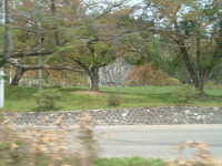  dscf0450.jpg 