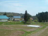  dscf0453.jpg 