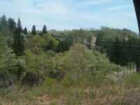  dscf0455.jpg 