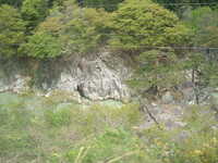  dscf0459.jpg 