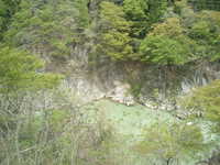  dscf0460.jpg 