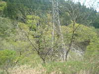 dscf0461.jpg 