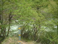  dscf0462.jpg 