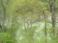  dscf0463.jpg 