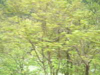  dscf0464.jpg 