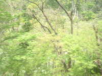  dscf0465.jpg 