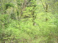  dscf0466.jpg 