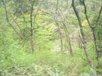  dscf0467.jpg 
