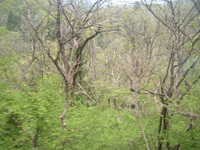  dscf0468.jpg 